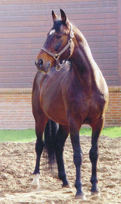 topper